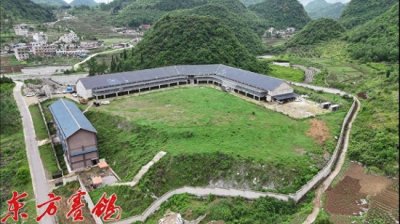 ​——翠枫园春棚2024年春赛之旅回顾