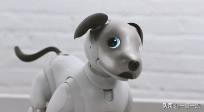 ​一只26年的宠物狗回归——索尼AIBO