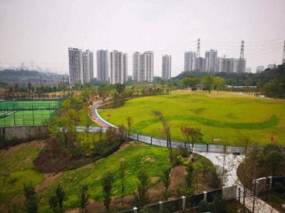 ​成都平原耕地面积10年锐减40%，全都“种”房子和公园了？