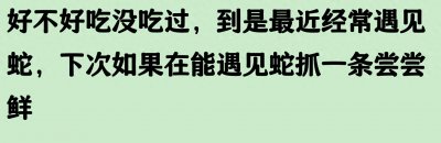 ​蛇肉是什么味道？好吃吗？看完网友回答的真实经历，属实是看馋了