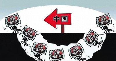 ​“僵尸肉”现身餐桌！三年走私上万吨，我们吃的到底是什么？