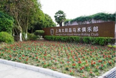 ​上海太阳岛马术俱乐部 | 做一个马背上的贵族